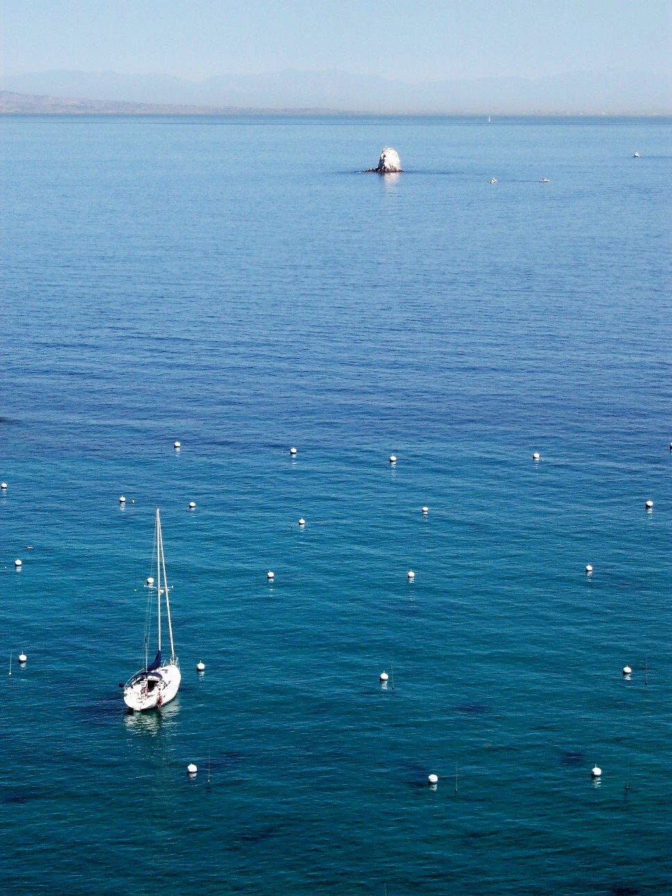 Serenity Now in Cherry Cove Catalina 36/375 International Association